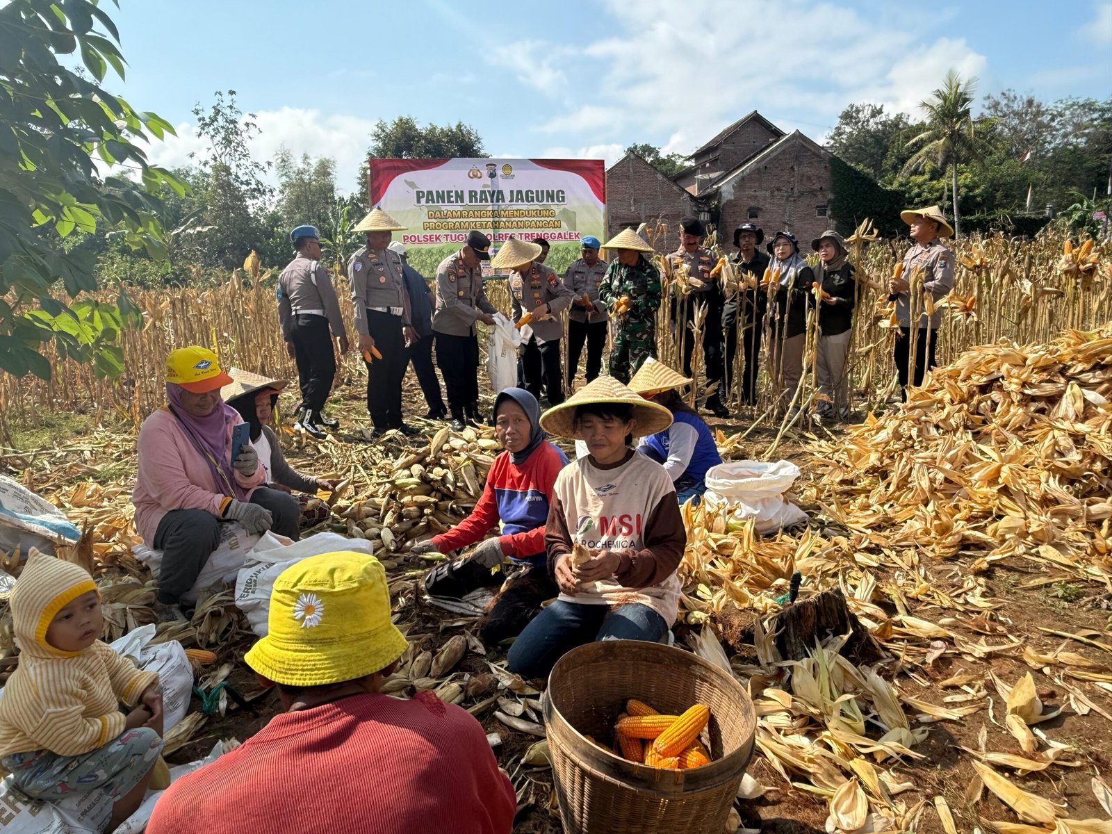 Jajaran polisi Polres Trenggalek ikut panan raya jagung