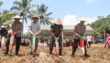 penanaman raya jagung serentak yang di pusatkan di lahan pertanian tepatnya di Desa Watulimo, Kecamatan Watulimo